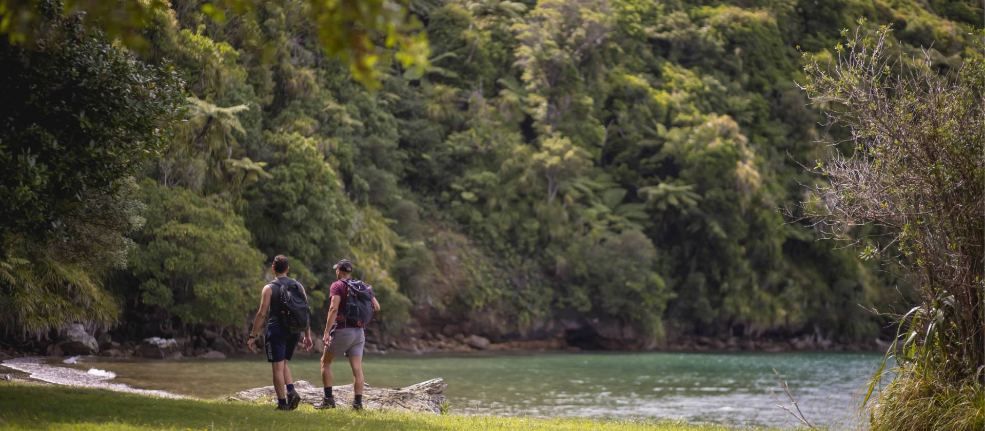 Experiencing lush coastal bush along the Queen Charlotte Track | Miles Holden