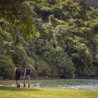 Experiencing lush coastal bush along the Queen Charlotte Track | Miles Holden