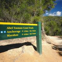 Abel Tasman Coast Track | Mikey Owens