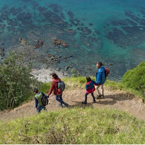 A family out enjoying one of New Zealand's fabulous coastal walks