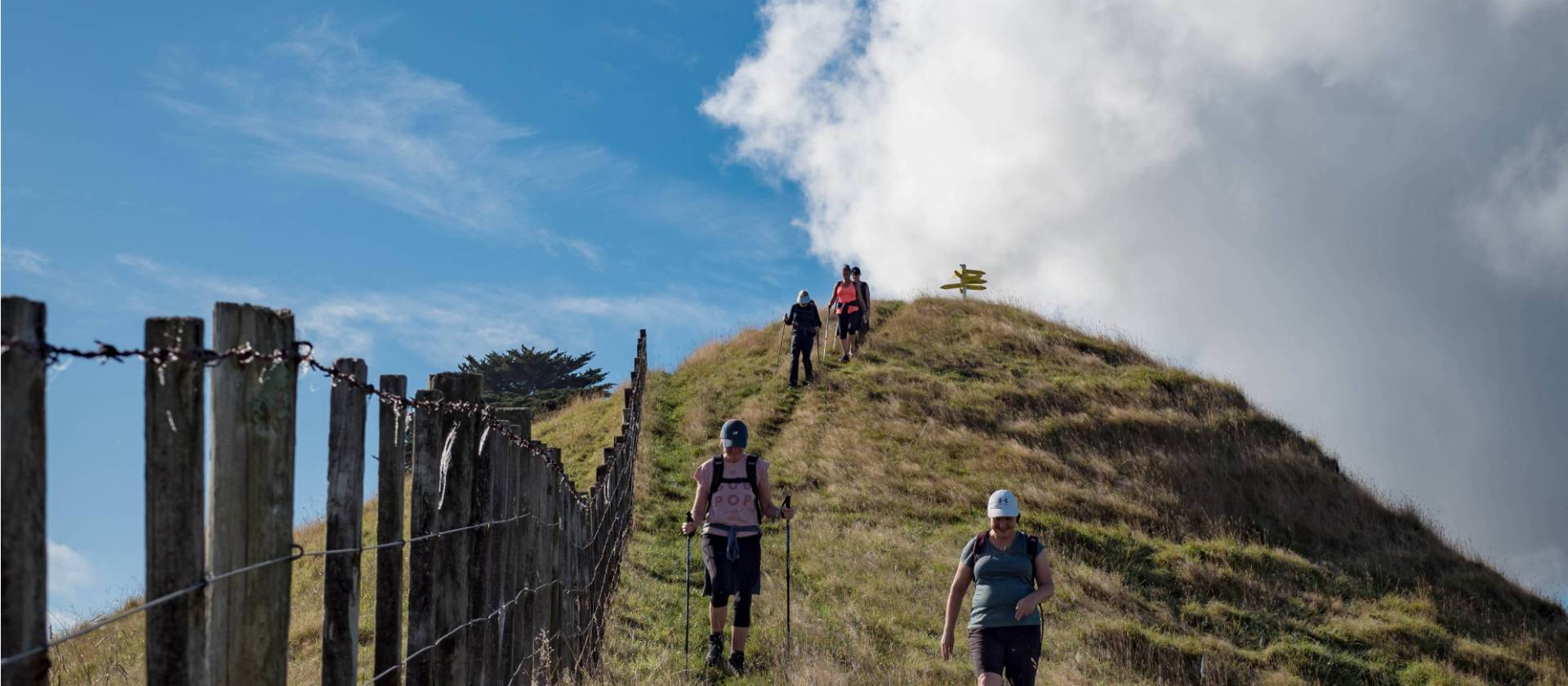What goes up must come down - rolling hills of the Waikato Valley