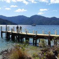 Meet the boat at the end of each day's walk at the designated jetty in the Marlborough Sounds | Kaye Wilson