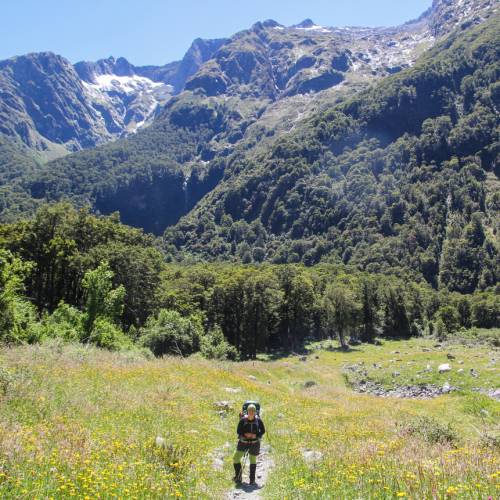 Milford Track - Southland, New Zealand