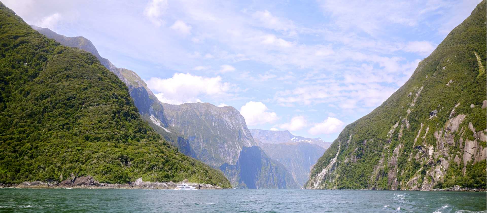 Hiking and boating in Milford Sound | Matt de Vries