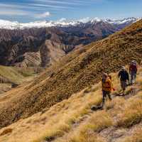 Walking through the tussocklands of Ben Lomond Station | Colin Monteath