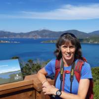 Perfect photo opportunity at the Motuara Island Lookout | Kaye Wilson