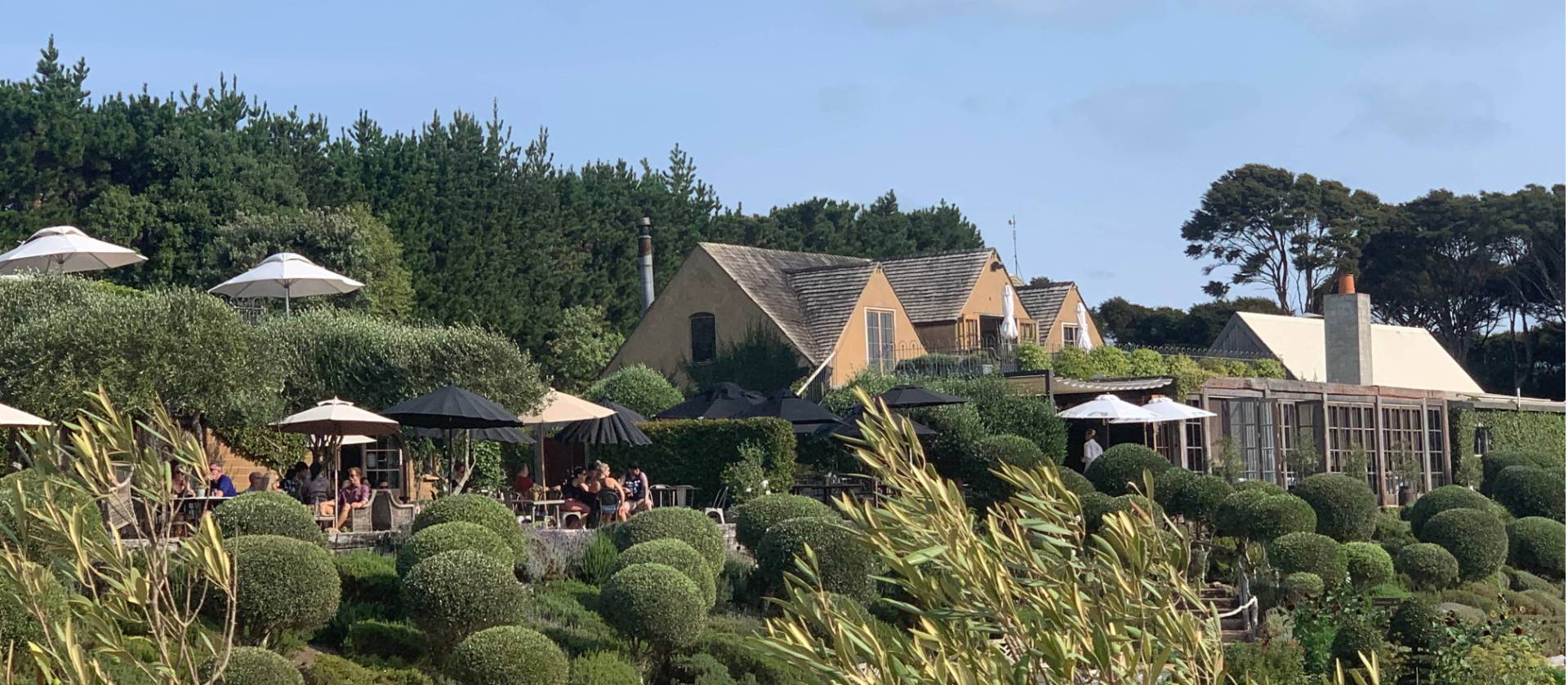 Why not stop for a lunch and a glass of wine at one of the famous Waiheke vineyards | Gabrielle Young