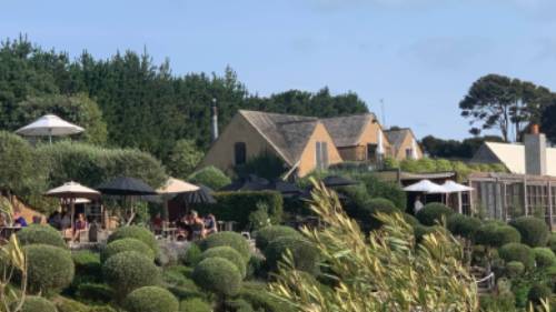 Why not stop for a lunch and a glass of wine at one of the famous Waiheke vineyards | Terra and Tide