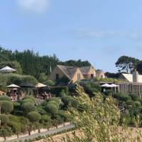 Why not stop for a lunch and a glass of wine at one of the famous Waiheke vineyards | Gabrielle Young