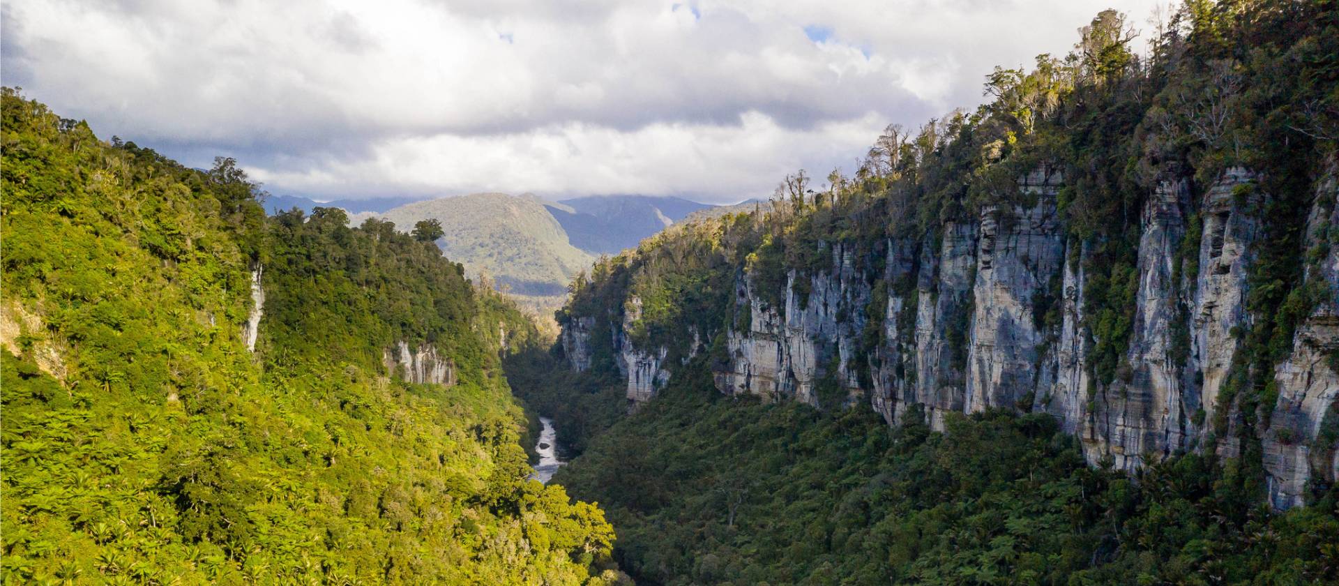 The incredible natural environment of the Paparoa Track on the West Coast | Jase Blair
