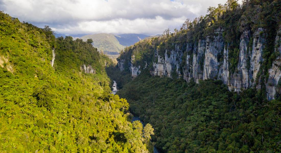 The incredible natural environment of the Paparoa Track on the West Coast |  <i>Jase Blair</i>