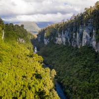 The incredible natural environment of the Paparoa Track on the West Coast | Jase Blair