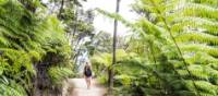 Enjoying the solitude of the Abel Tasman Coast Track | abeltasman.com