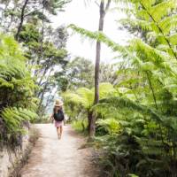 Enjoying the solitude of the Abel Tasman Coast Track | abeltasman.com