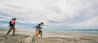 Walking along the sand dunes in Golden Bay. | Nelson Tasman Tourism