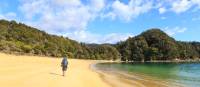 Walking along Anchorage in the Abel Tasman | Tamzin Henderson