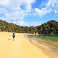 Walking along Anchorage in the Abel Tasman | Tamzin Henderson