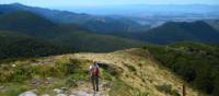 Hiking along the ridge line in the Kahurangi National Park