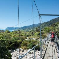 Hiking along the Heaphy Track in the Kahurangi National Park | Nelson Tasman Tourism