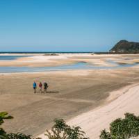 Walking Awaroa Beach at low tide | Nelson Tasman Tourism