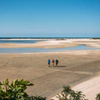 Walking Awaroa Beach at low tide | Nelson Tasman Tourism