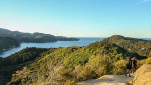 View of Anchorage from the Abel Tasman Coast Track | abeltasman.com