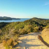 View of Anchorage from the Abel Tasman Coast Track | abeltasman.com