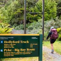 Starting off on the Hollyford Track