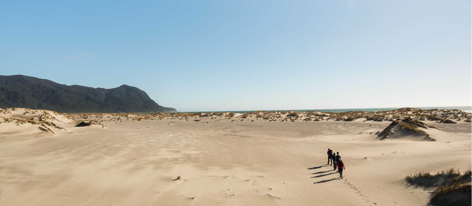 Stunning sand dunes at Martins Bay are the entry to the Tasman Sea along the rugged West Coast