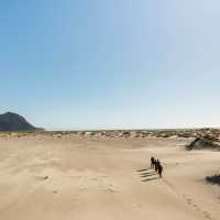 Stunning sand dunes at Martins Bay are the entry to the Tasman Sea along the rugged West Coast