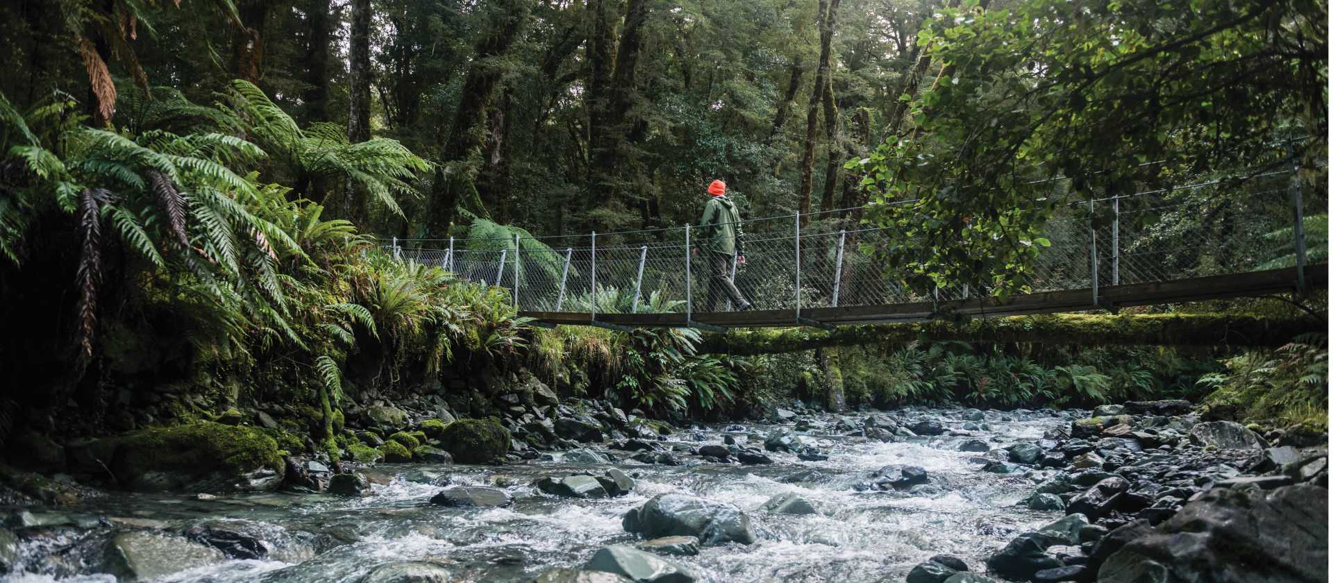 Stunning streams surrounded by remote wilderness along the Hollyford