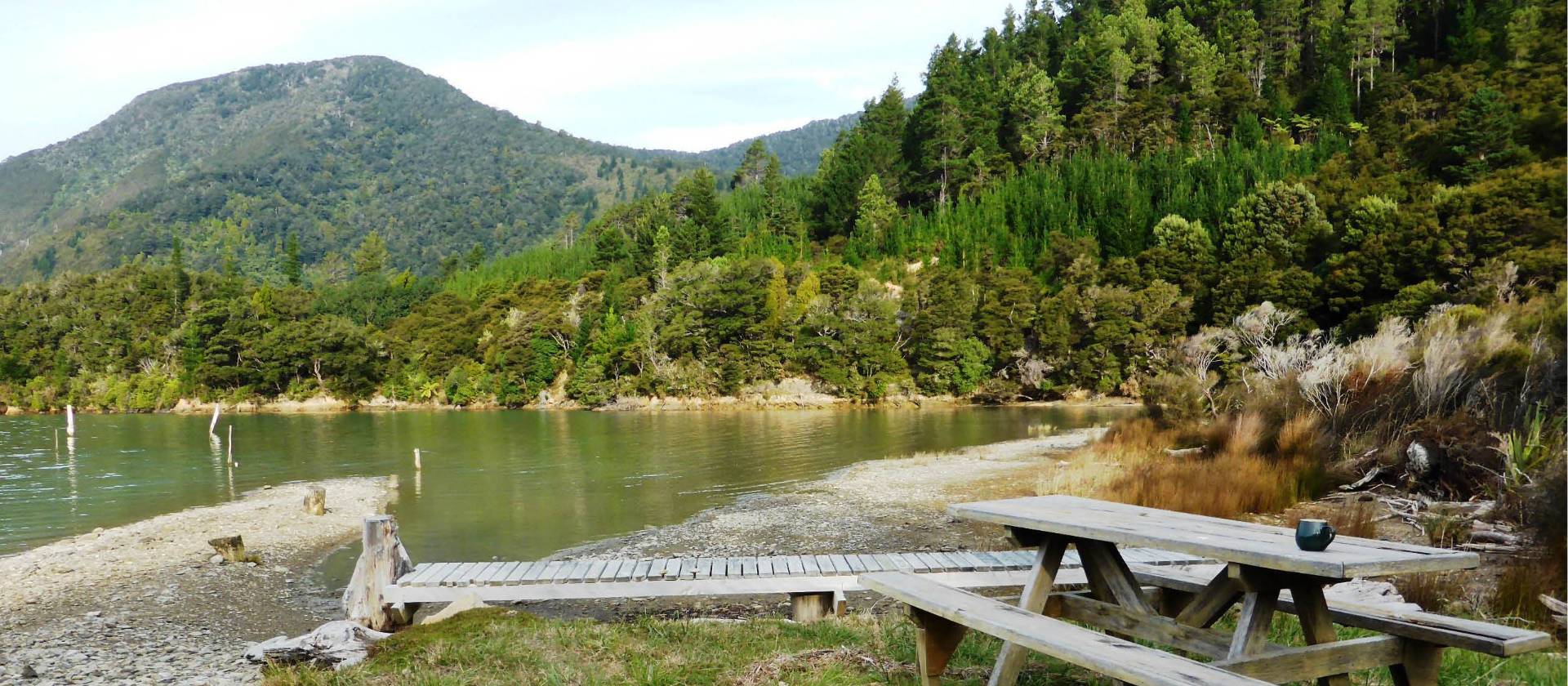 Not a bad place to enjoy a cup of tea - the beautiful forest surrounds of Nydia Bay | Janet Oldham