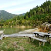 Not a bad place to enjoy a cup of tea - the beautiful forest surrounds of Nydia Bay | Janet Oldham