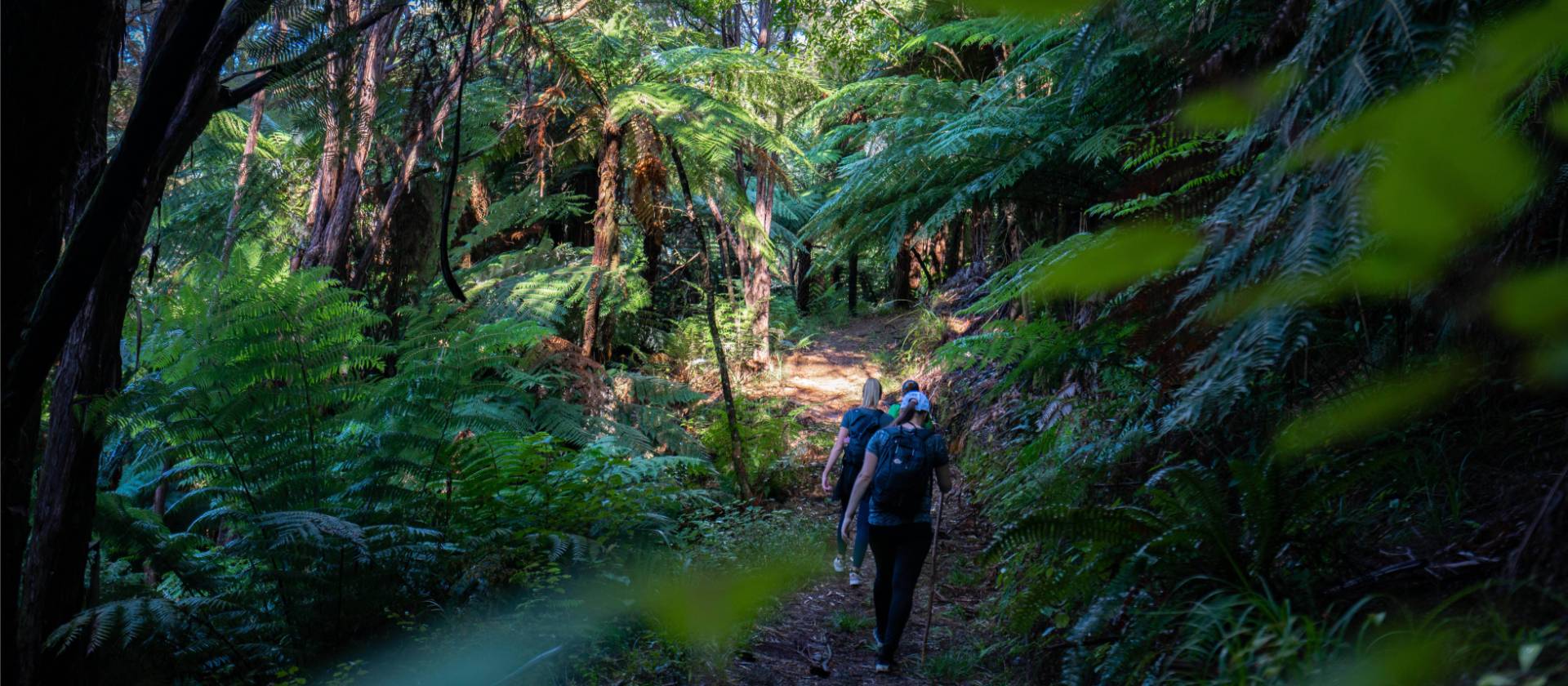 Walking along the Nydia Track | MarlboroughNZ