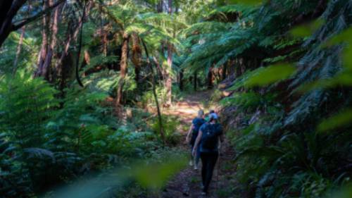 Walking along the Nydia Track | MarlboroughNZ