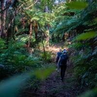 Walking along the Nydia Track | MarlboroughNZ