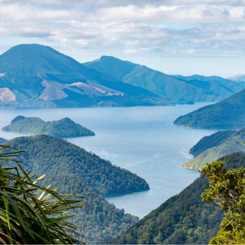 Stunning views greet you from the Nydia Track