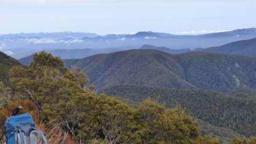 Time to put down the pack and take out the camera to capture the Lyell Ranges view | Janet Oldham