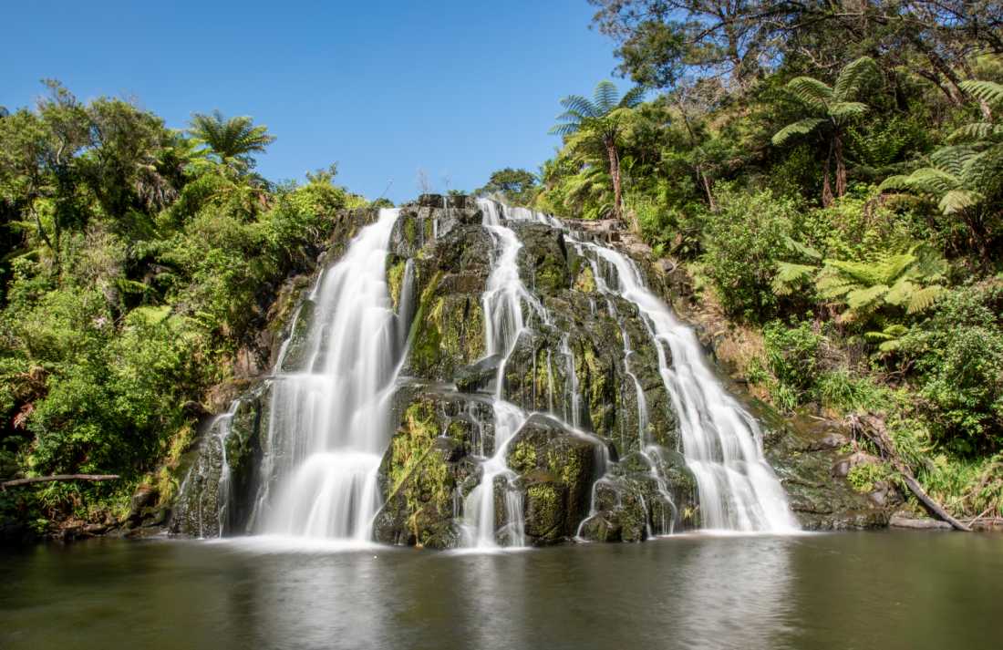 Owharoa Falls - Waikato Valley (10)