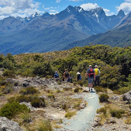 Panorama of Routeburn Track