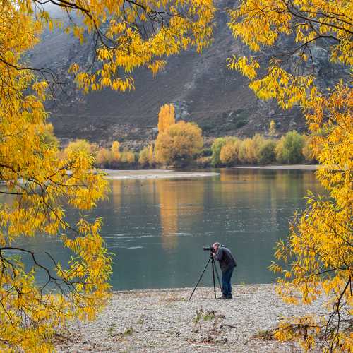 Photographer capturing the autumn colours in Otago