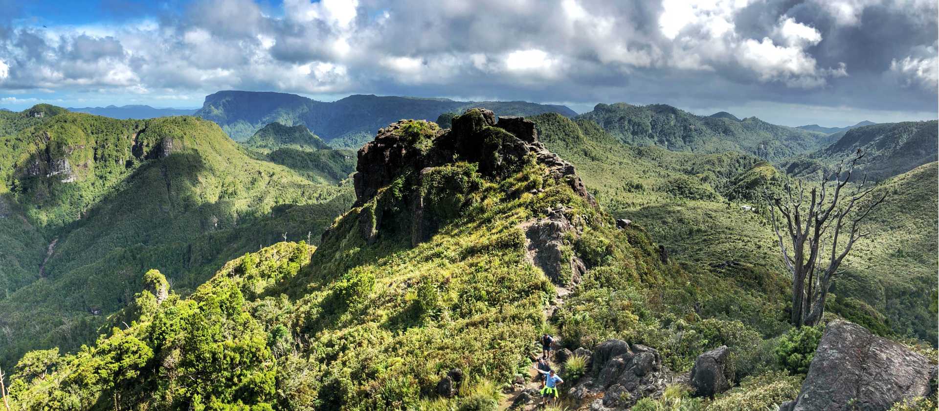Exploring the rugged interior of Coromandel Peninsula on the Pinnacles Walk | Kylie Rae