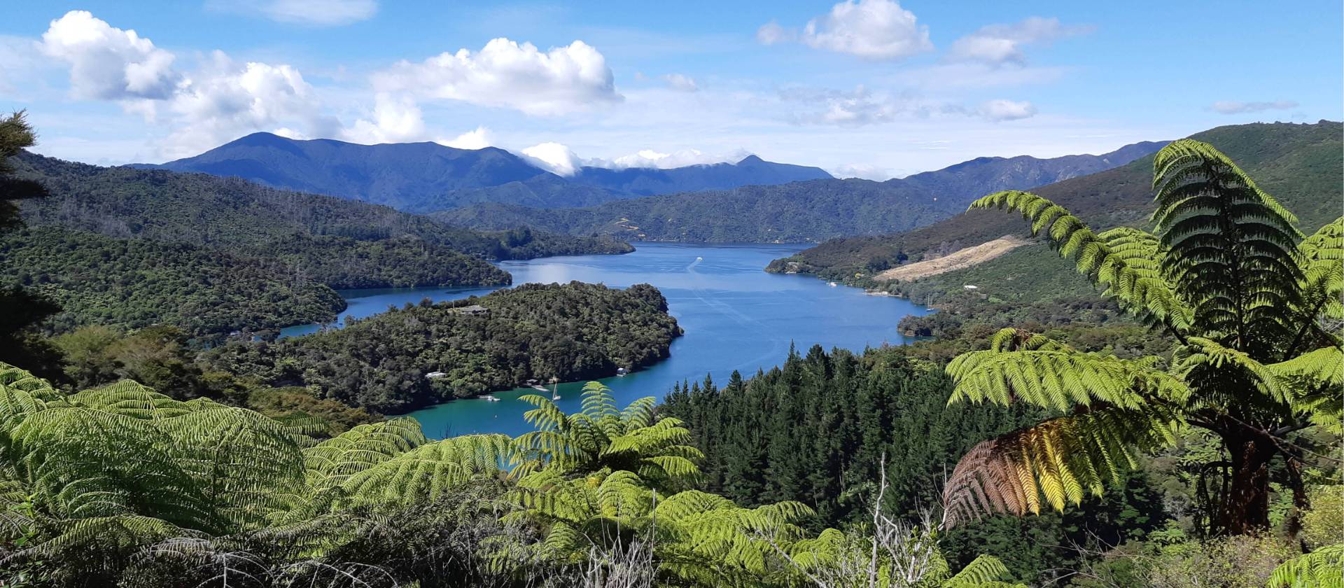 Picture postcard scenery along the Queen Charlotte - a photographer's dream | Kaye Wilson