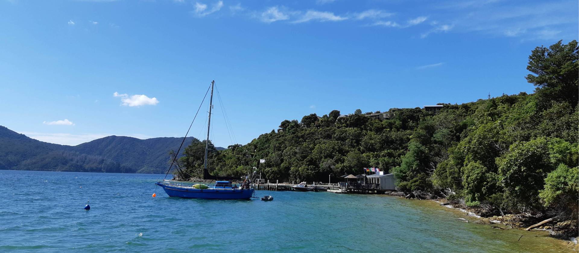 Punga Cove Jetty and Beachfront Cafe | Kaye Wilson