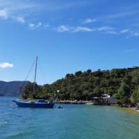 Punga Cove Jetty and Beachfront Cafe | Kaye Wilson