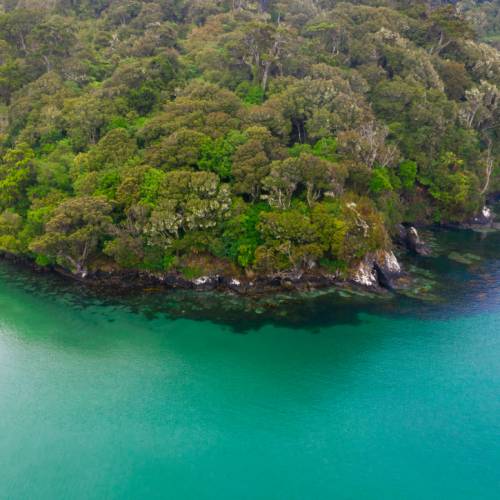 Rakiura Track - Southland, New Zealand