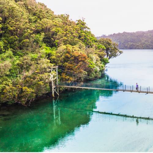 Rakiura Track - Southland, New Zealand