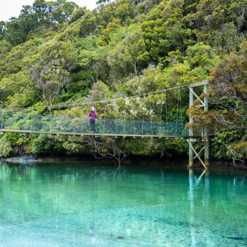 Rakiura Track - Southland, New Zealand