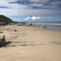 The Hump Ridge Track includes remote coastal walking on the southern shores of New Zealand | Janet Oldham