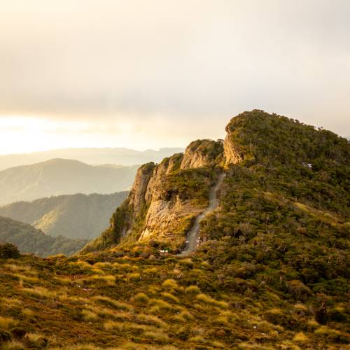 Tramping the ridgeline in the Paparoa Ranges